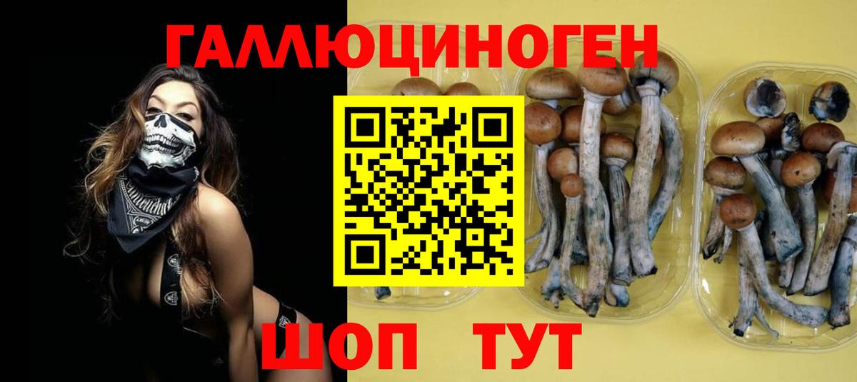 Псилоцибиновые грибы ЛСД  Вход с VPN  Урюпинск 